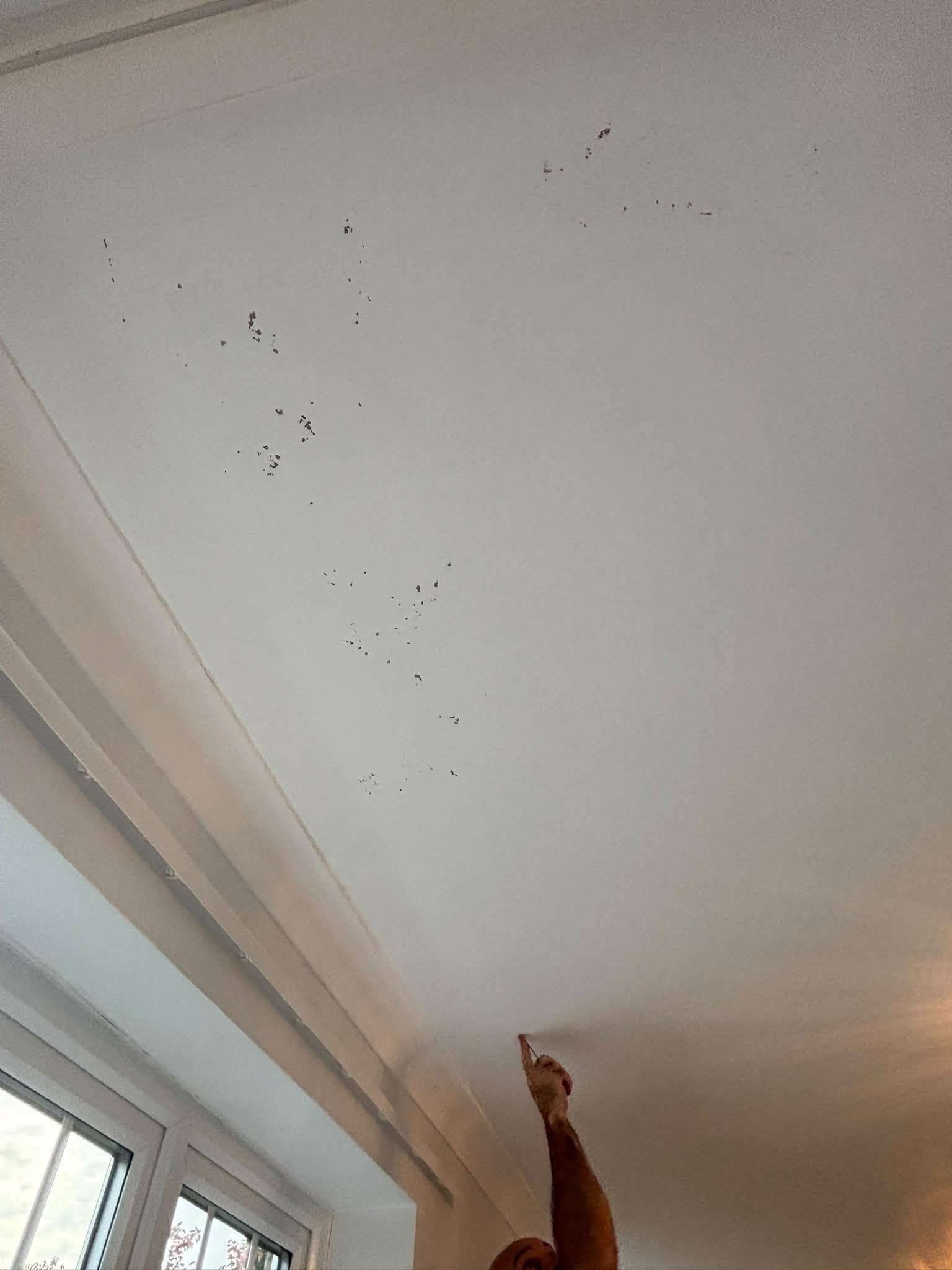 Ceiling repair & repainting — project photograph