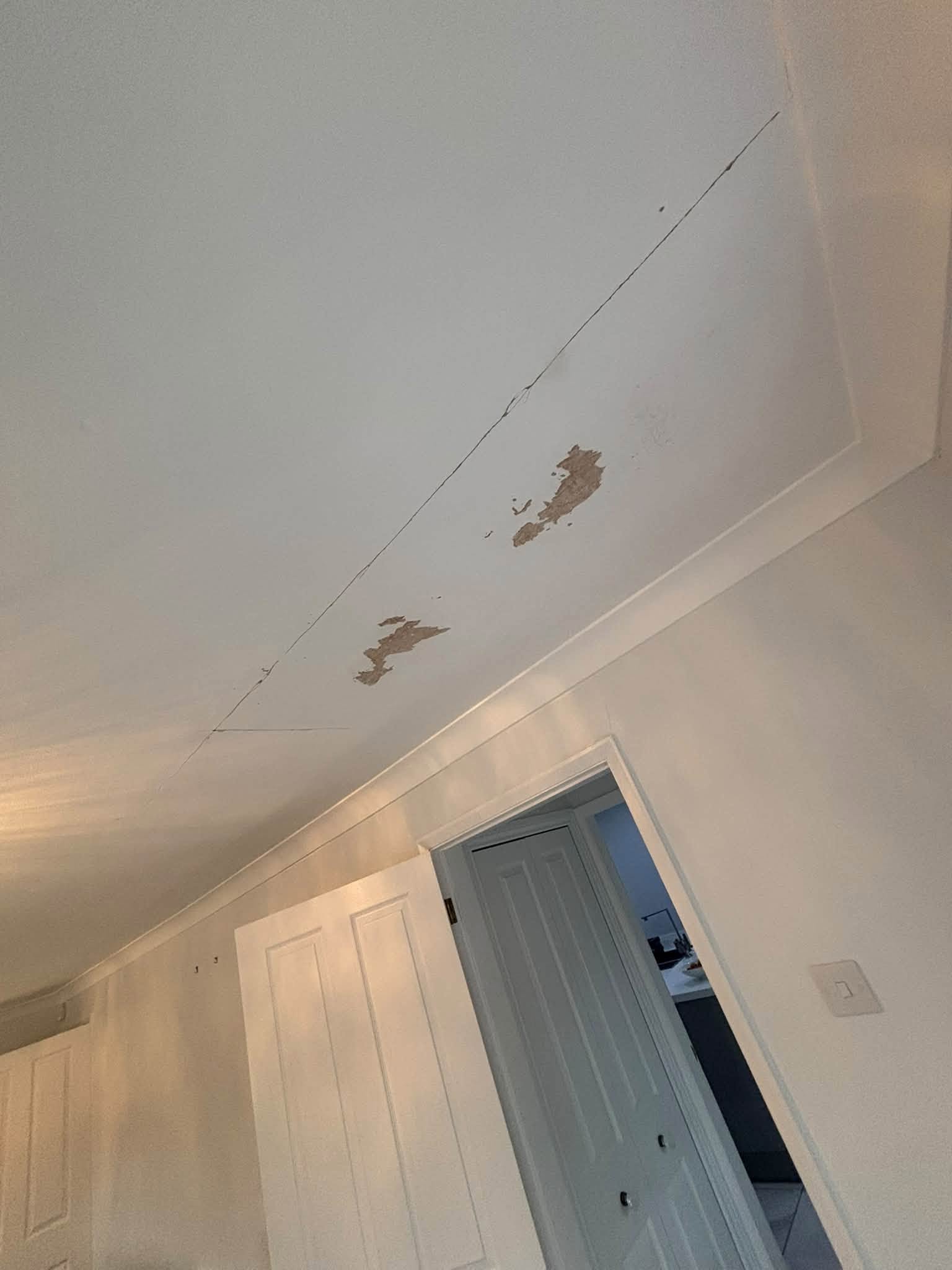 Ceiling repair & repainting — project photograph